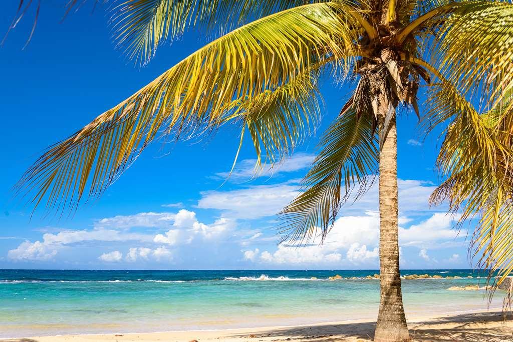Melia Braco Village Trelawny Natur billede